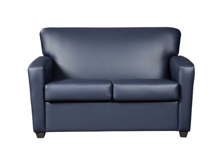 Rio Loveseat for social services programs