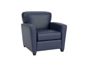 Living Room Chair for Supportive Housing, Group Homes, and IDD Facilities