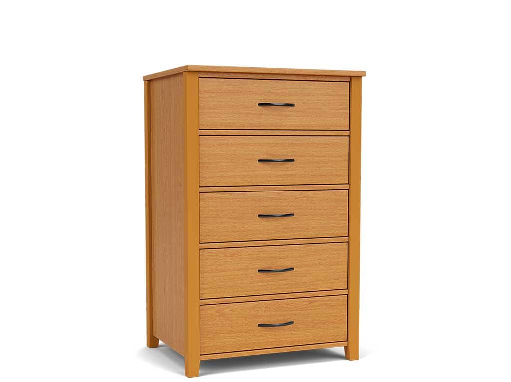 Five Drawer Chest for IDD Facilities