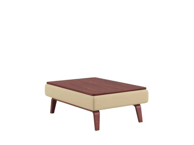 Contract Ottoman with Thermoform Top