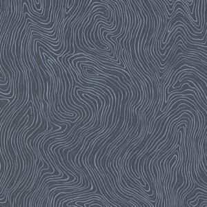 Topography